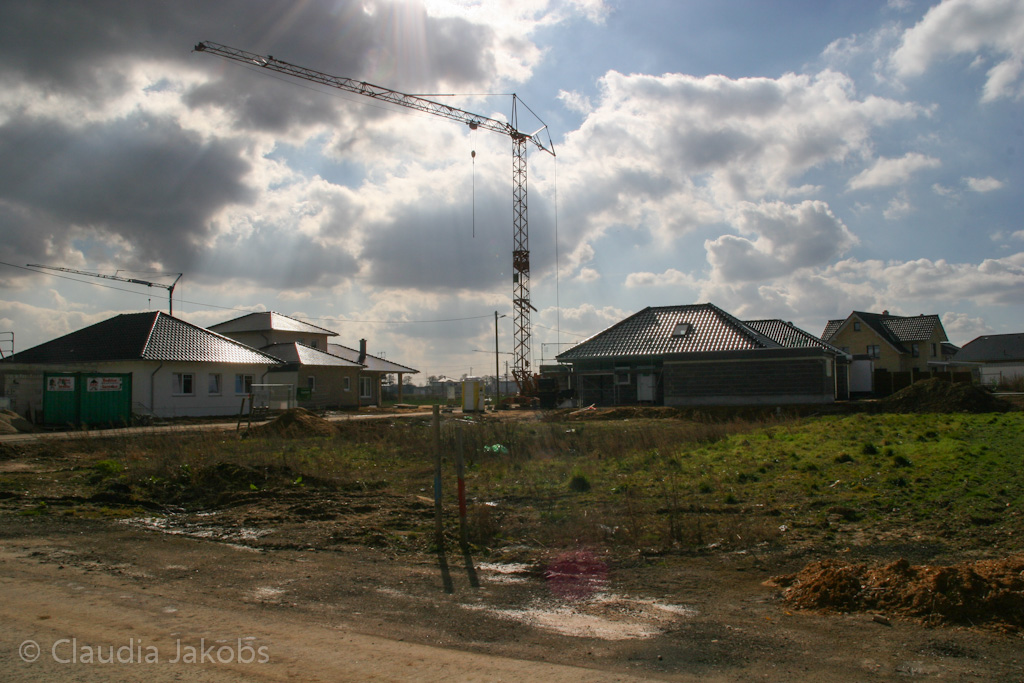 140302123201 IMG 6627