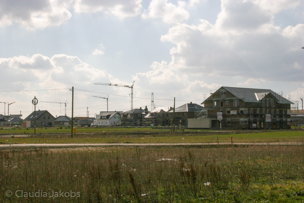 140302125223 IMG 6638