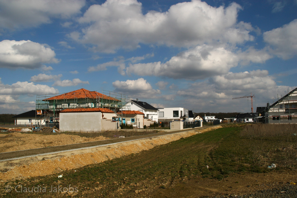 140302125348 IMG 6641