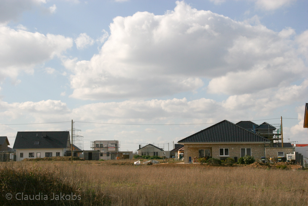 140302125615 IMG 6648