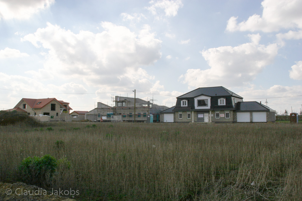 140302130721 IMG 6662