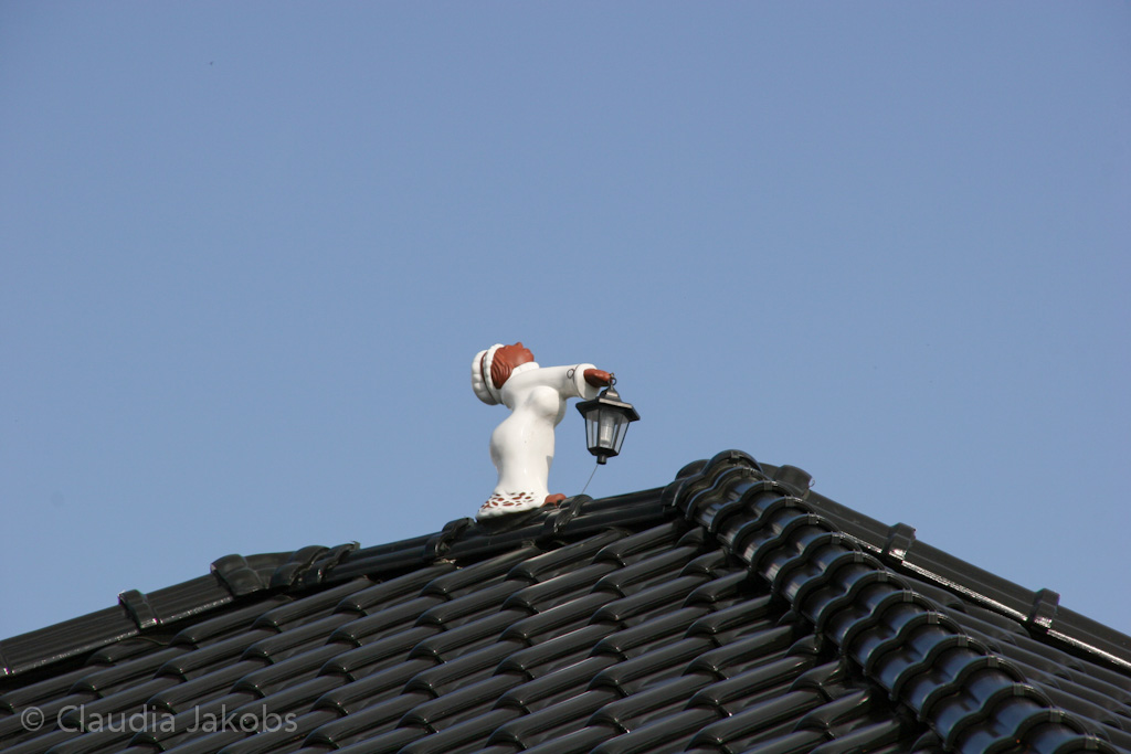 140302131531 IMG 6669