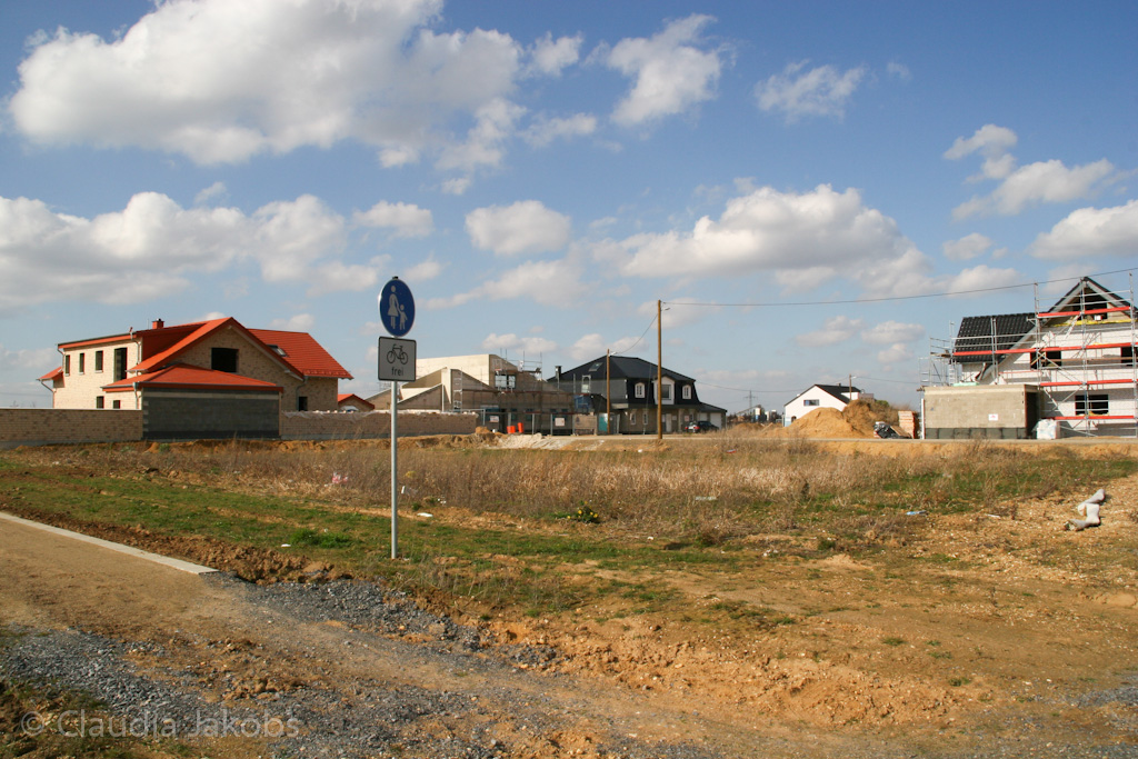 140302131648 IMG 6673