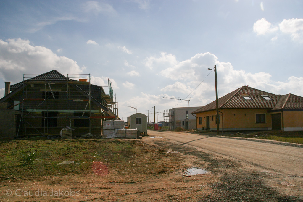 140302131925 IMG 6678