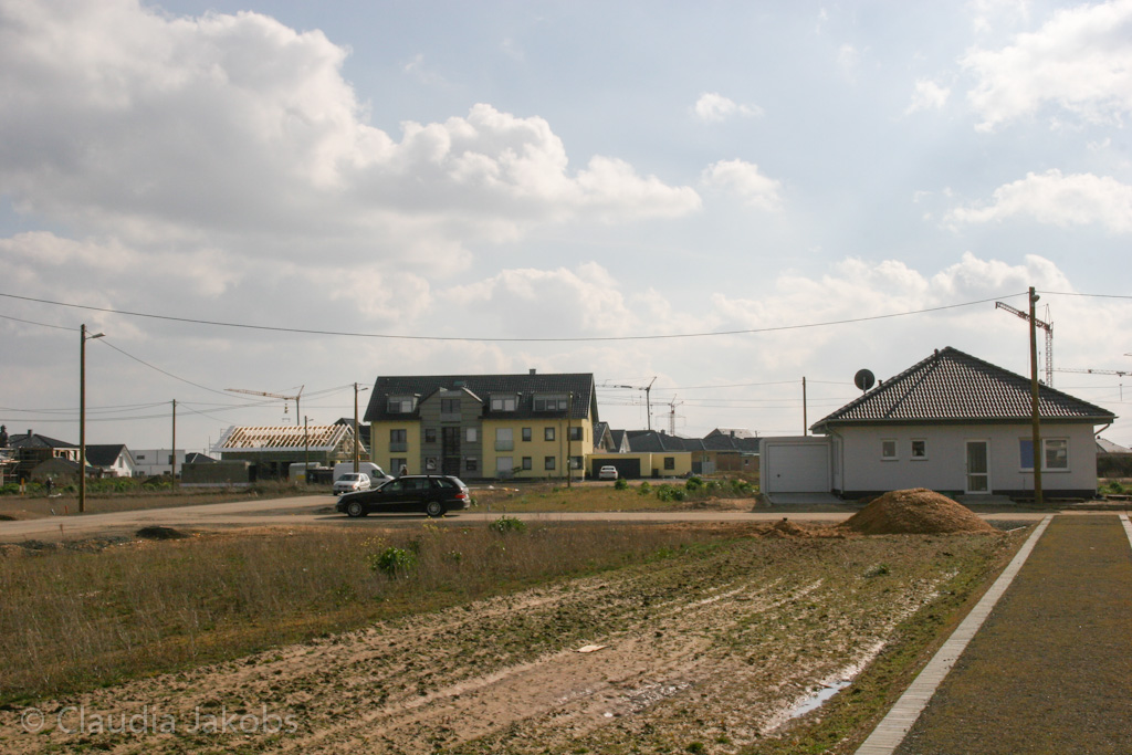 140302132103 IMG 6680