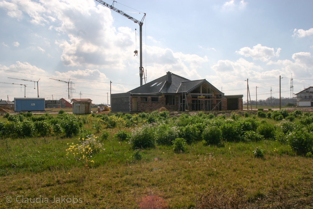 140302132312 IMG 6686