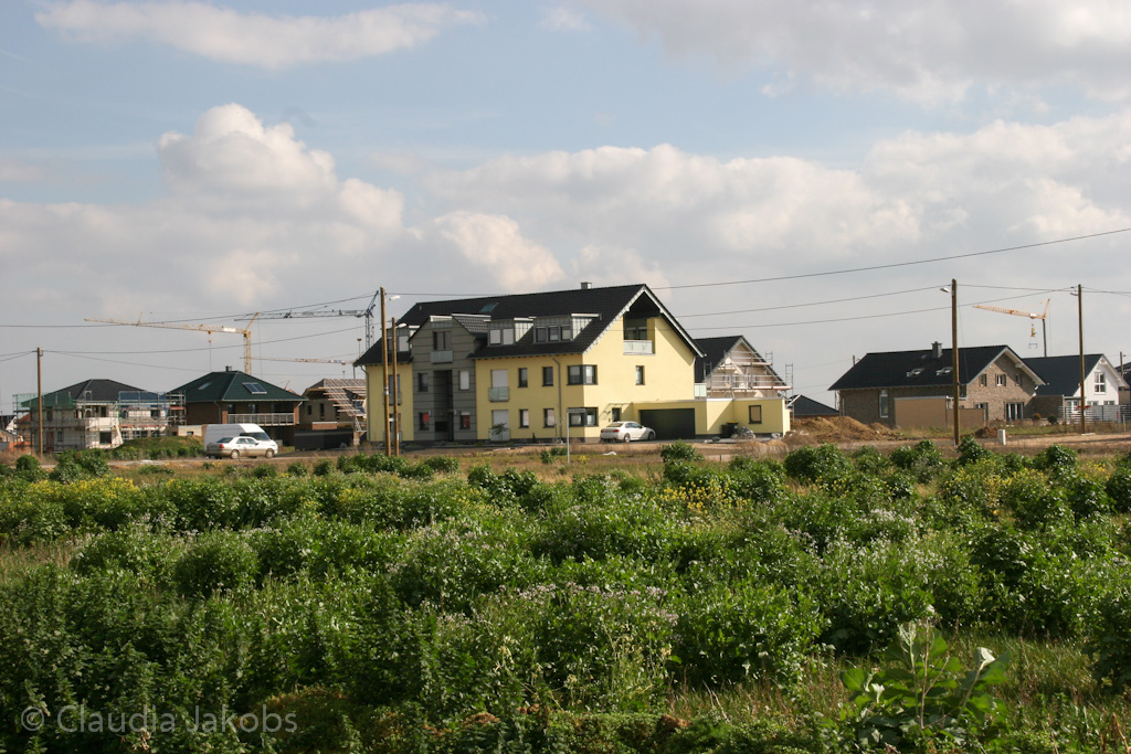 140302132404 IMG 6689