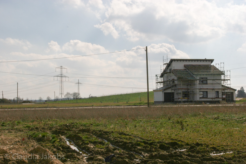 140302132624 IMG 6694