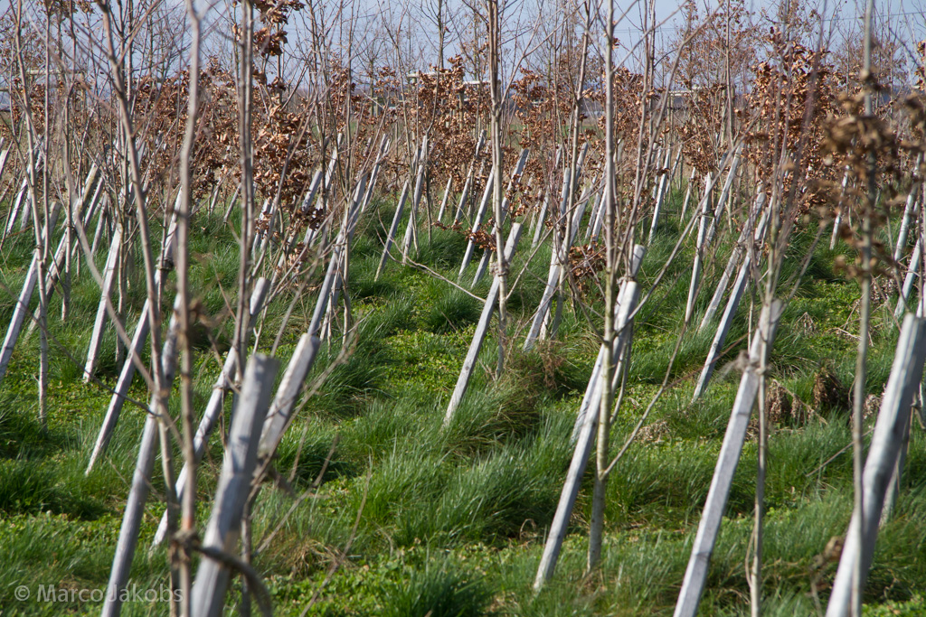 140302132847 MJ  0911