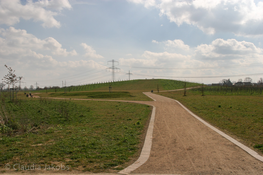 140302133016 IMG 6701