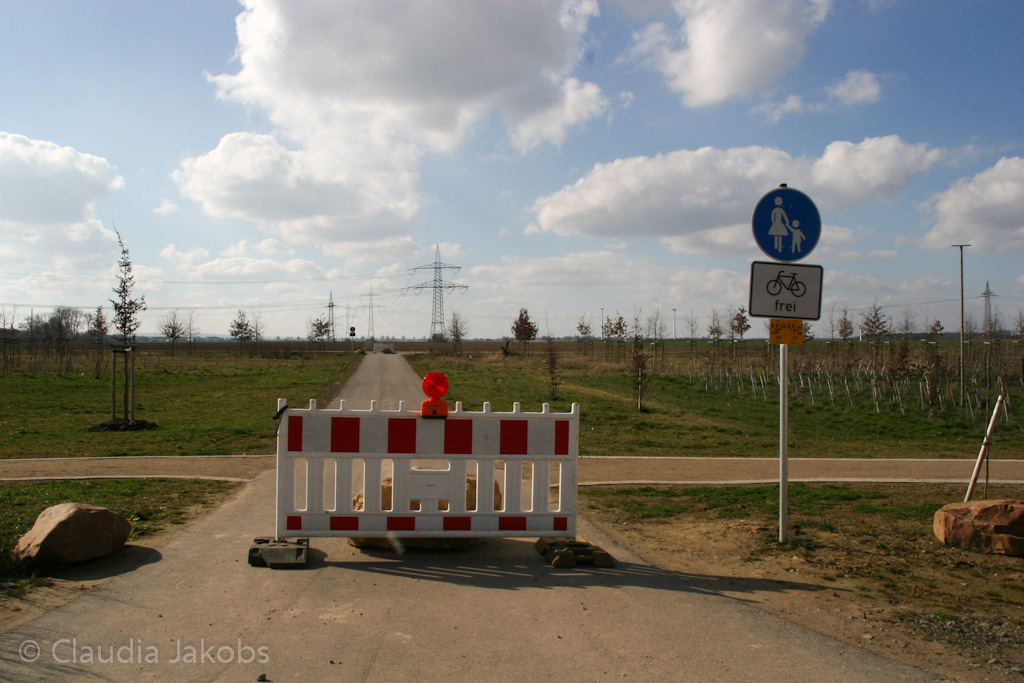 140302133042 IMG 6702