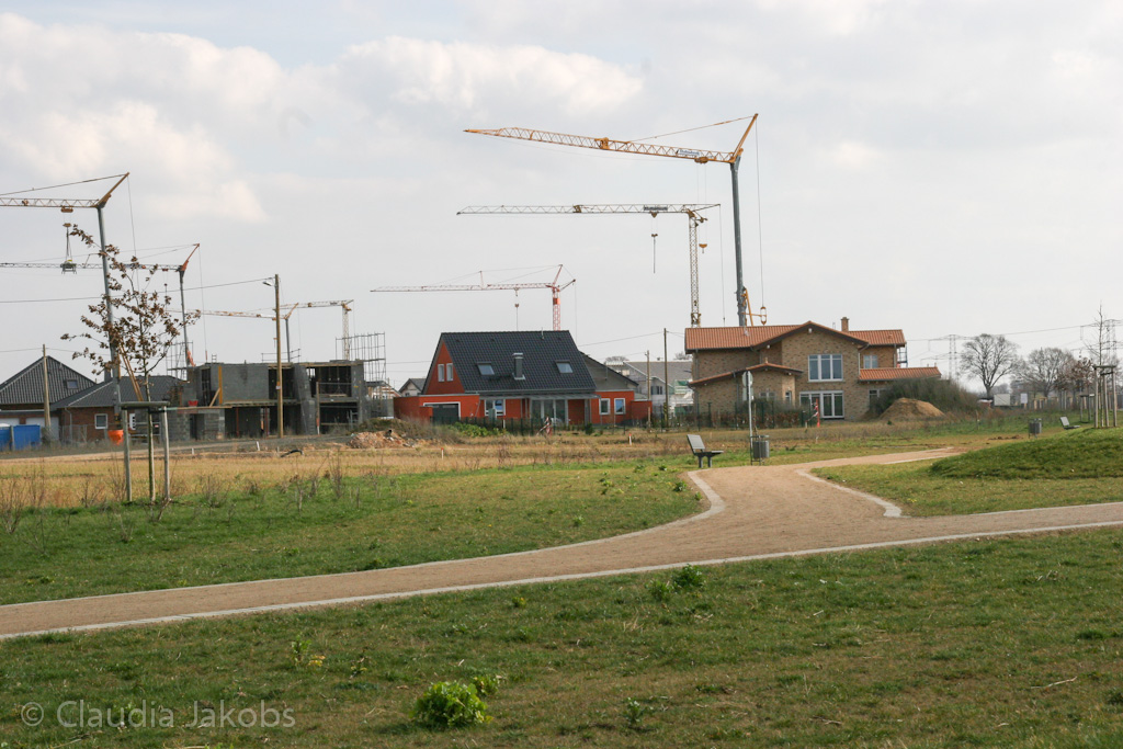 140302133150 IMG 6703