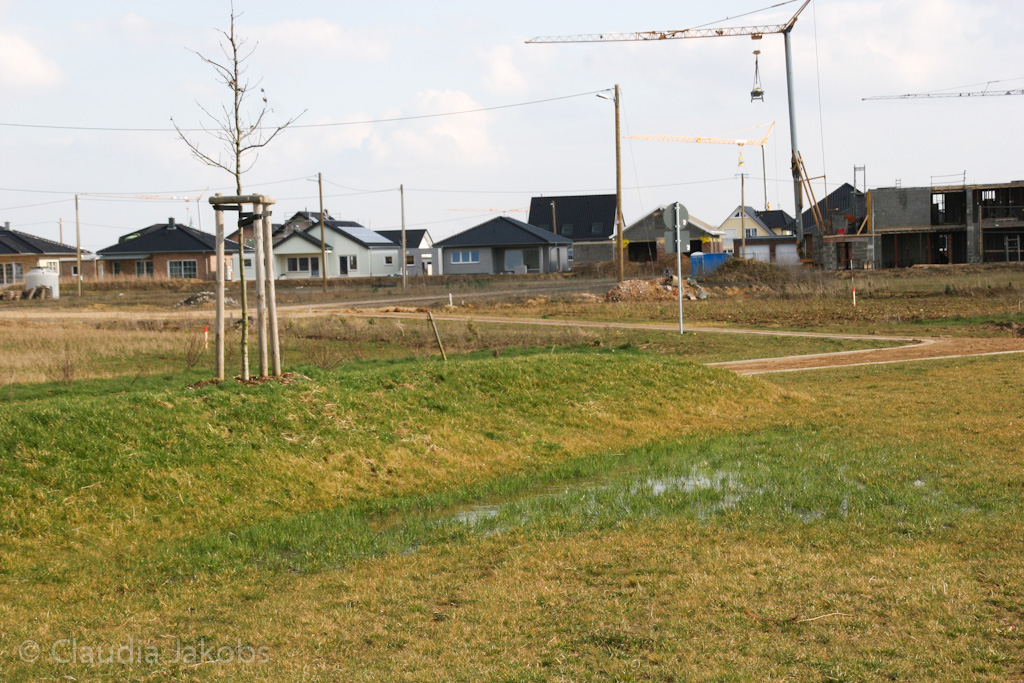 140302133410 IMG 6708