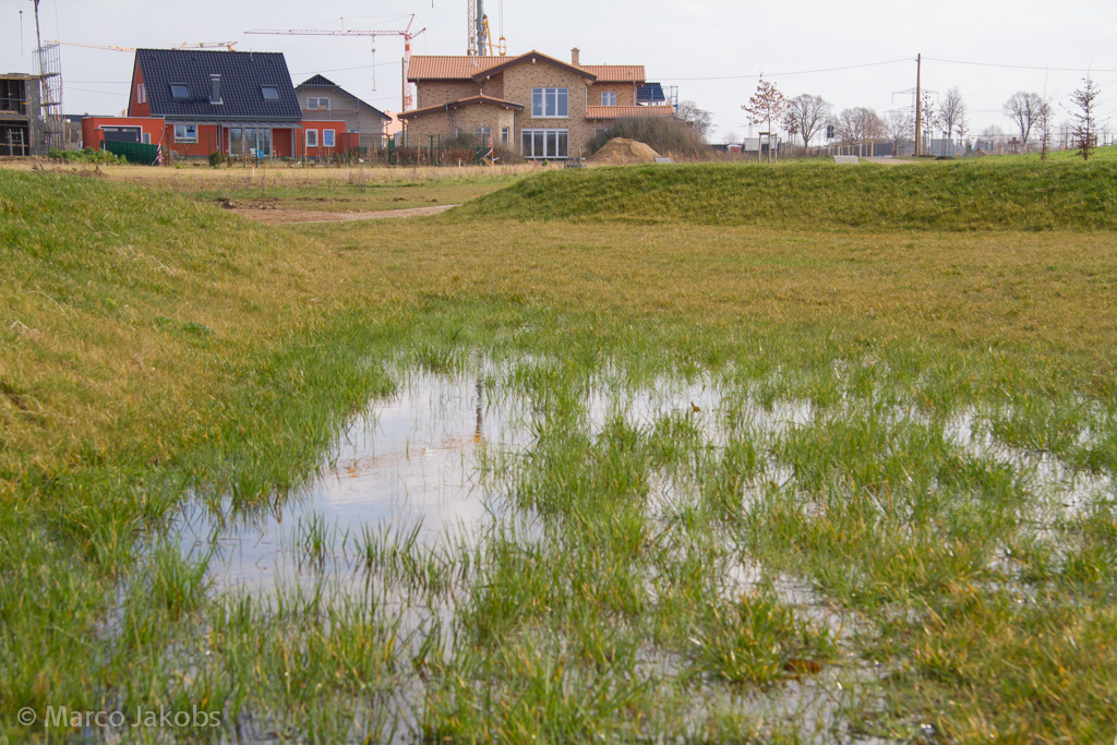 140302133425 MJ  0921