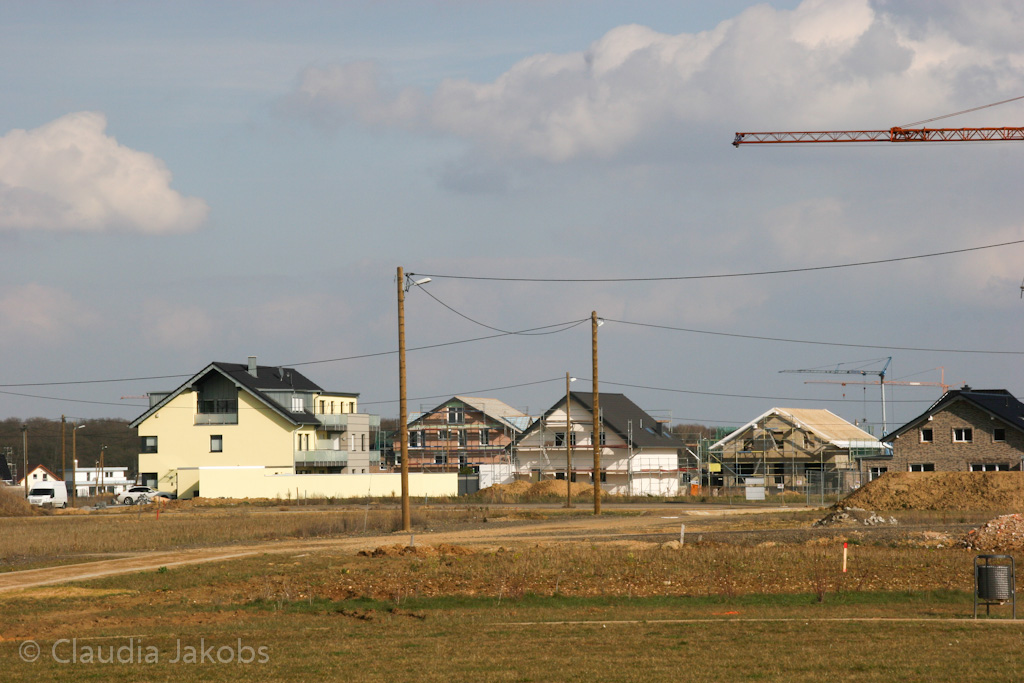 140302133616 IMG 6713