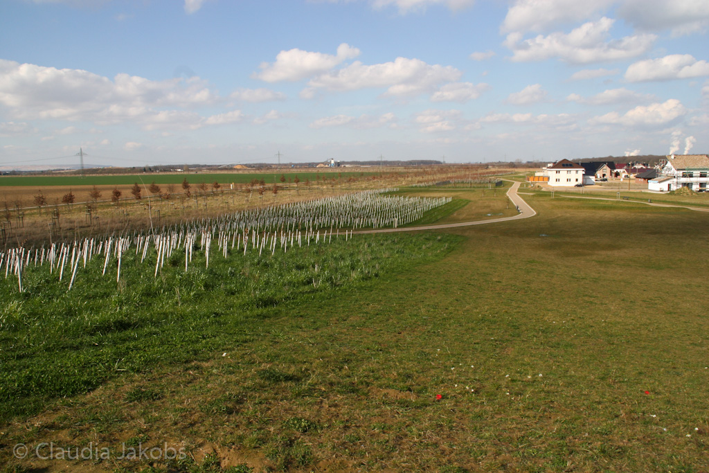 140302134015 IMG 6719