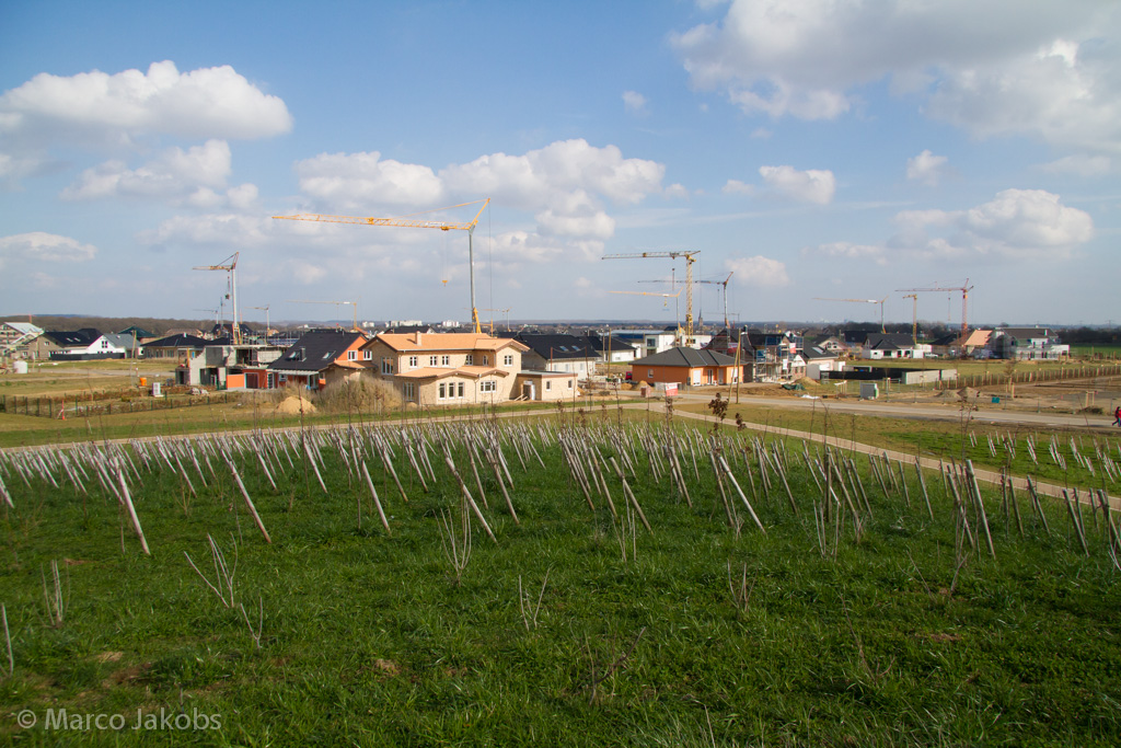 140302134018 MJ  0933