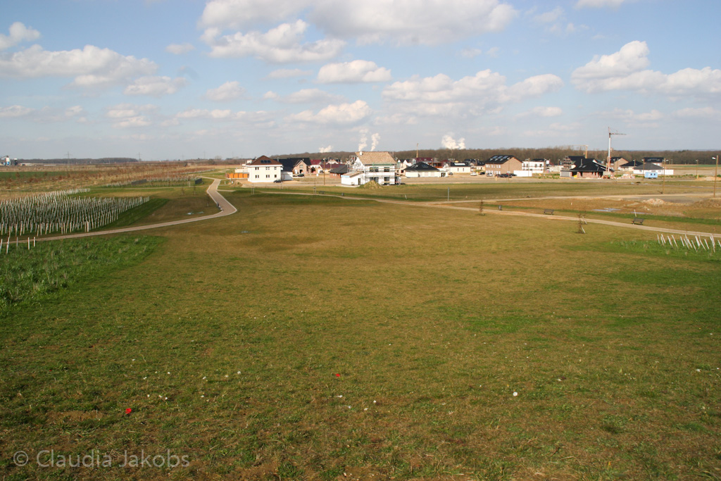 140302134023 IMG 6720