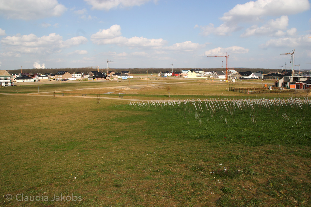 140302134029 IMG 6721