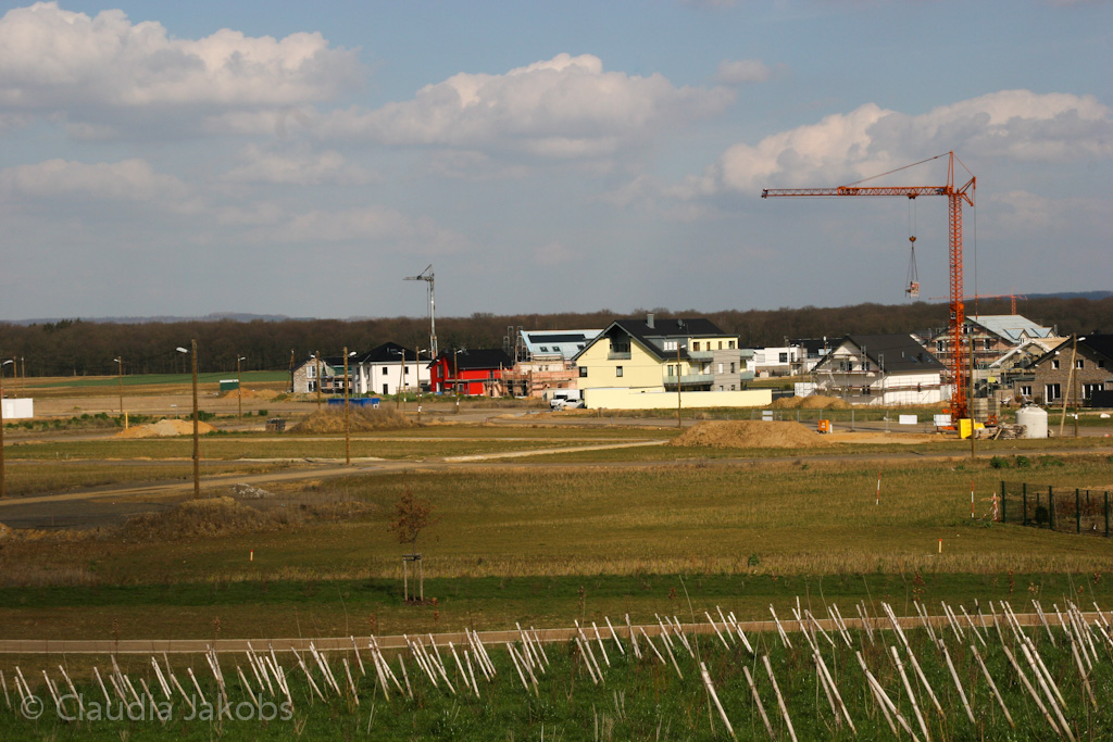 140302134046 IMG 6725