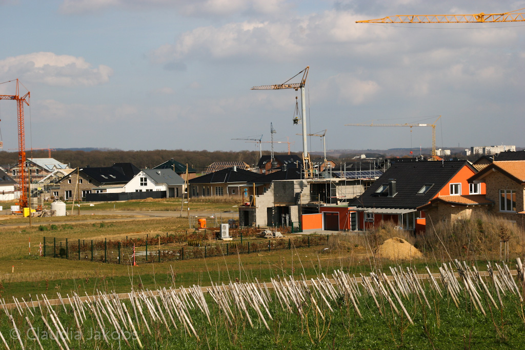 140302134050 IMG 6726