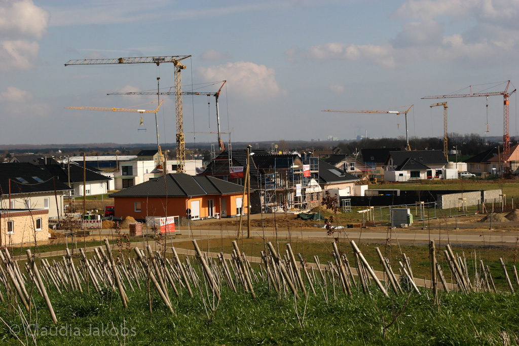 140302134059 IMG 6728