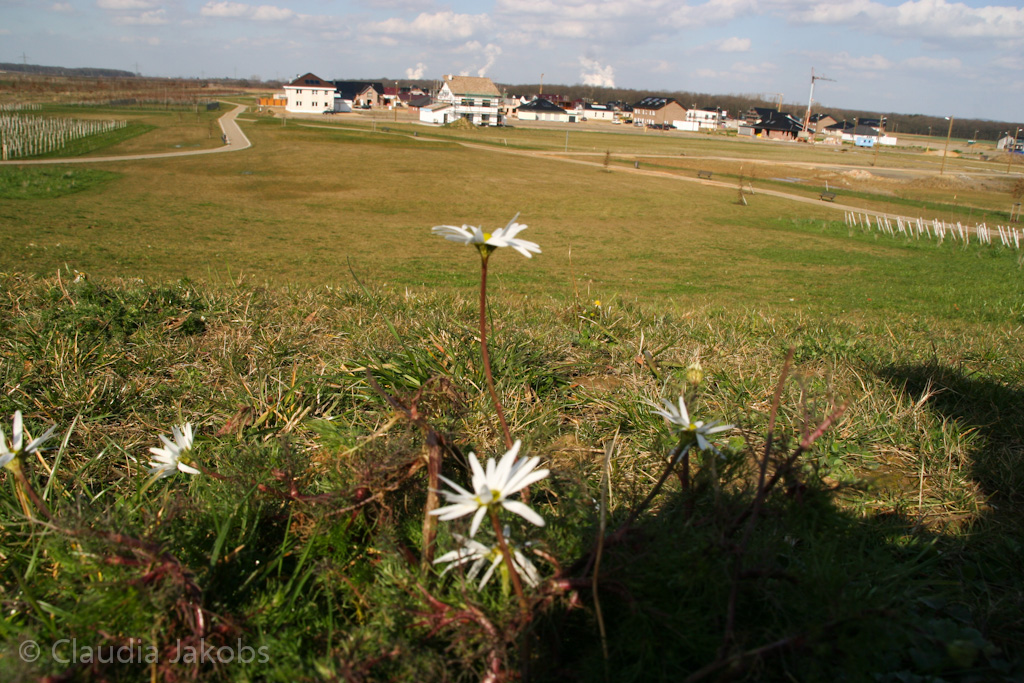 140302134138 IMG 6732