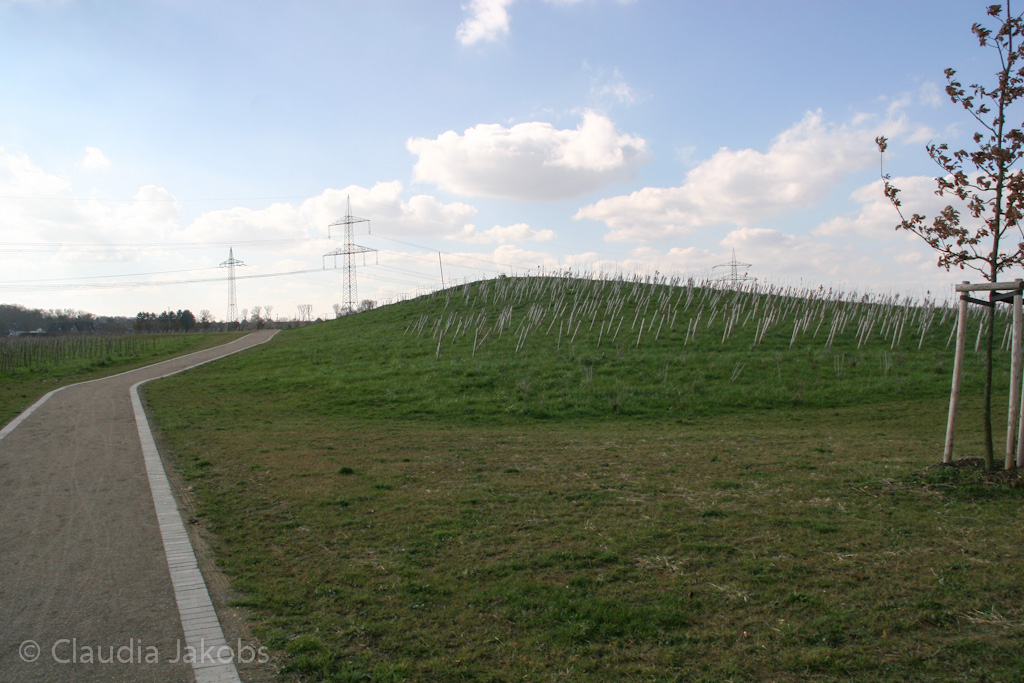 140302134711 IMG 6736