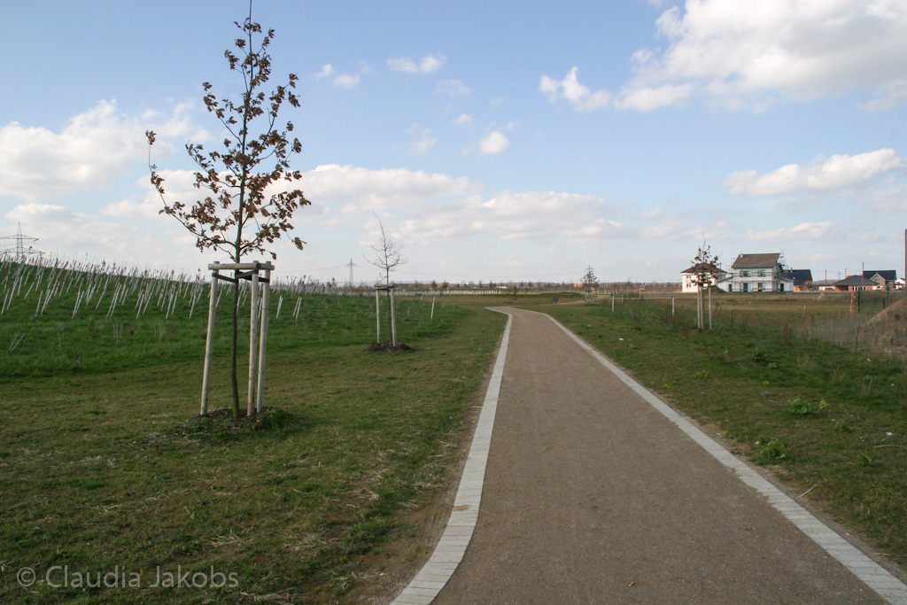 140302134719 IMG 6737