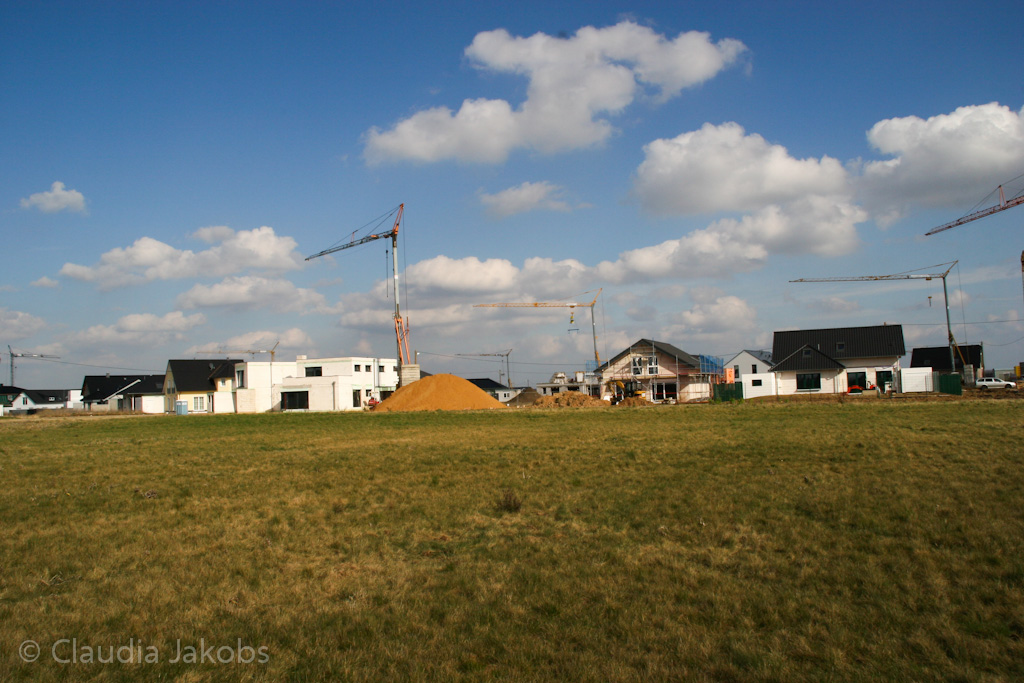 140302135016 IMG 6742