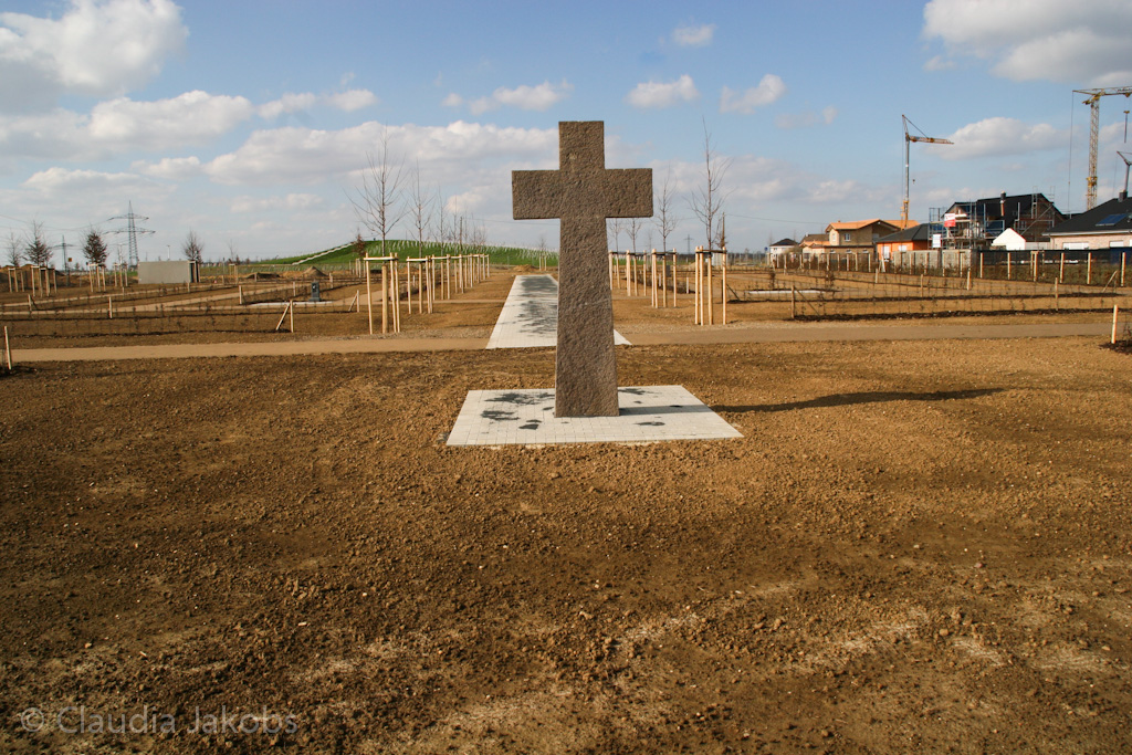 140302135236 IMG 6747