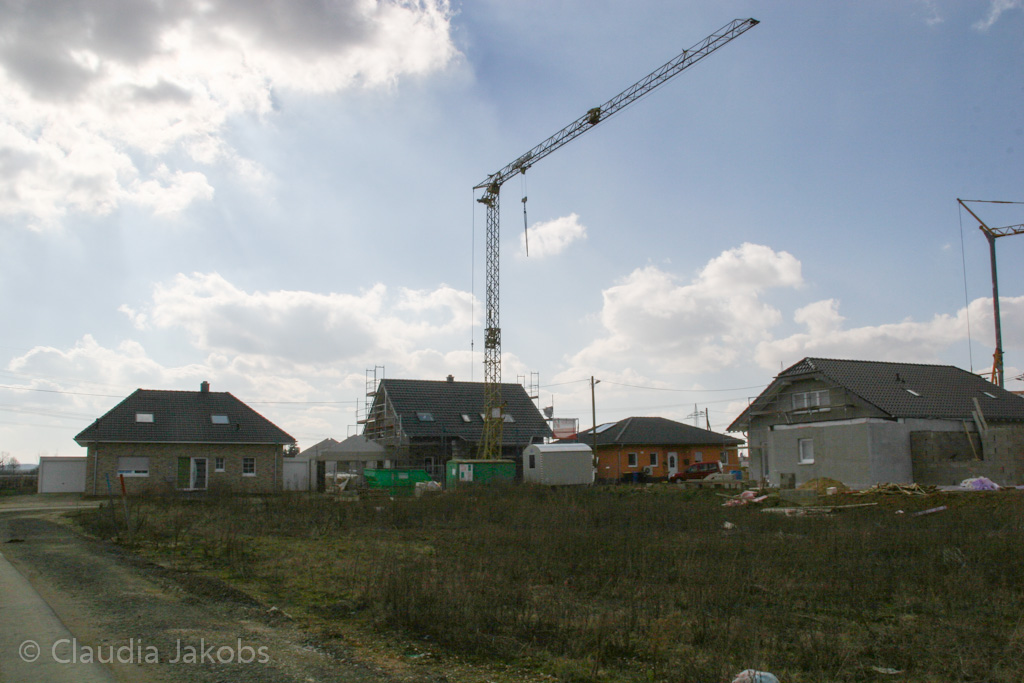 140302135606 IMG 6751