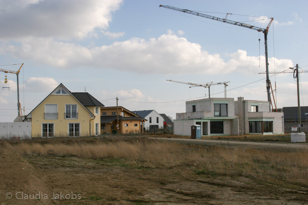 140302135659 IMG 6753