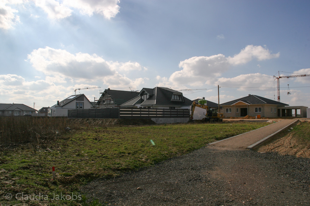 140302140105 IMG 6763