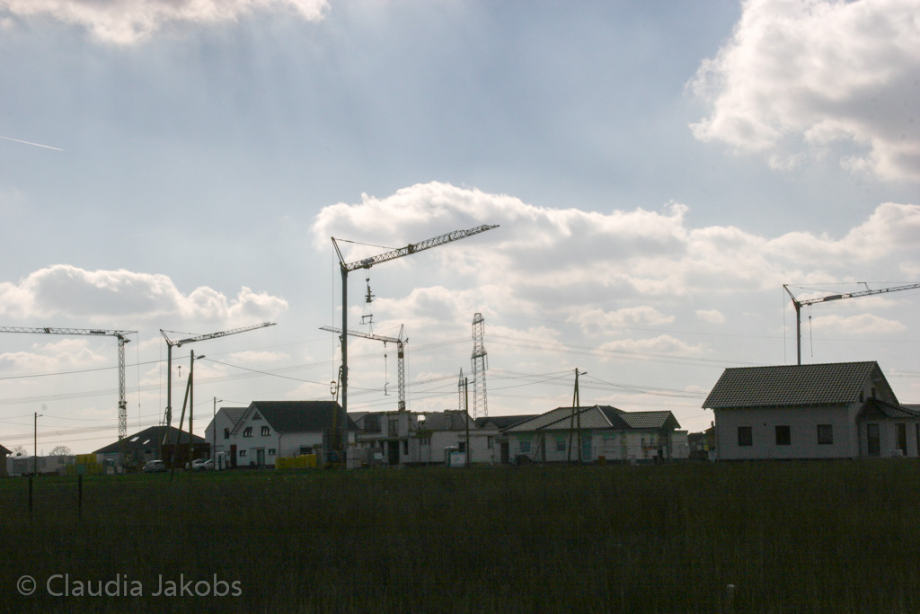 140302140629 IMG 6772