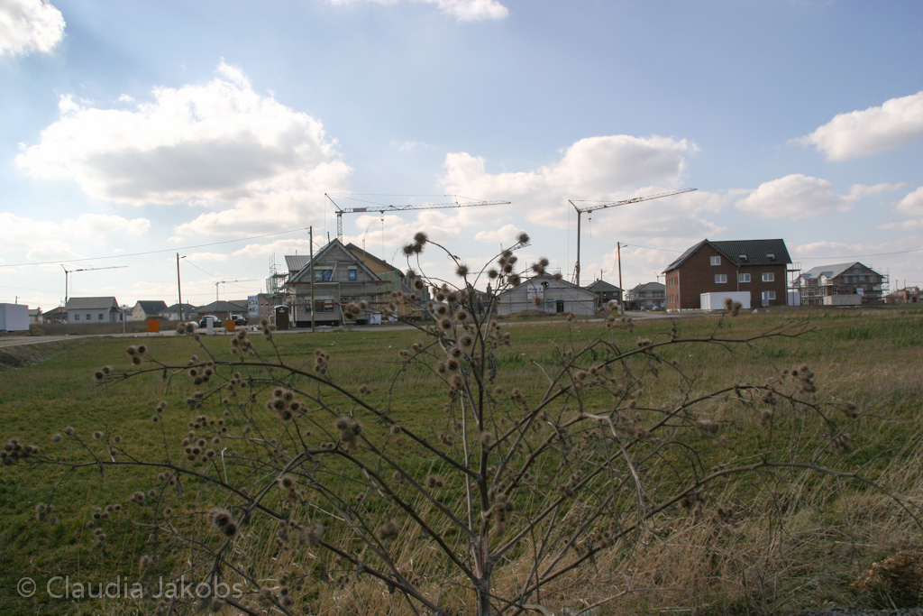 140302140801 IMG 6774