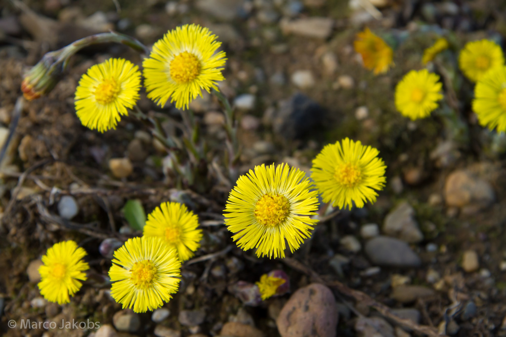 140302140814 MJ  0967