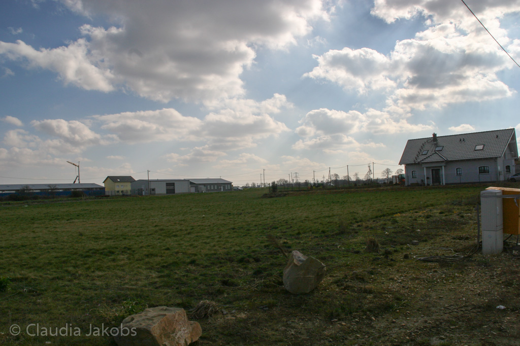 140302141108 IMG 6779