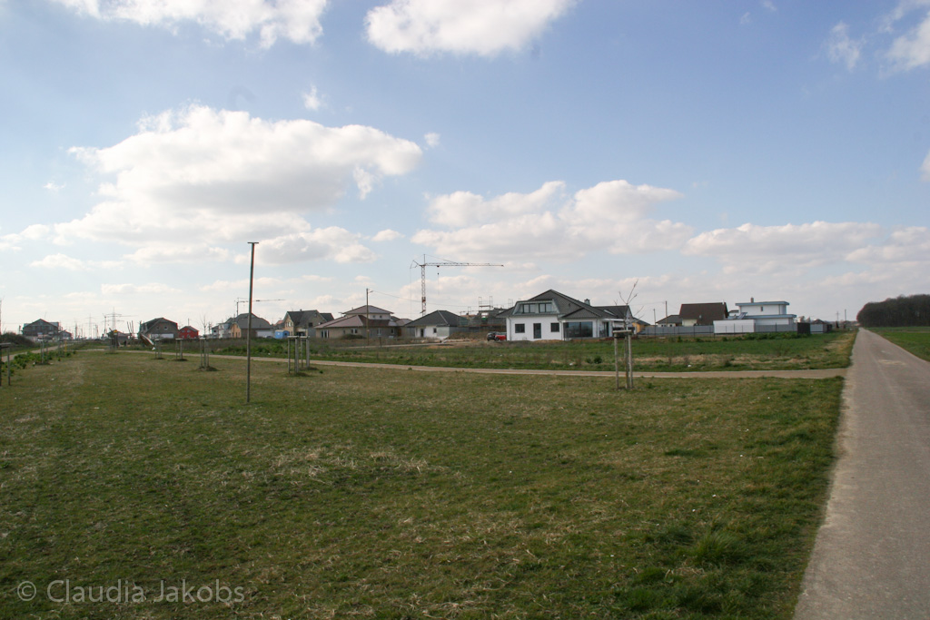 140302141727 IMG 6786