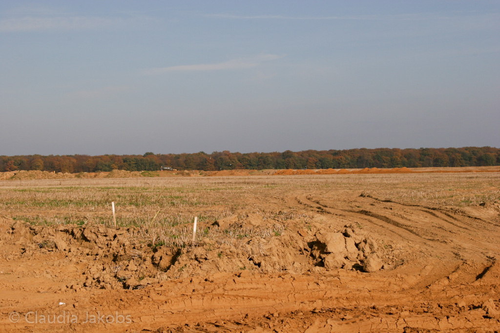 111101134504 IMG 0586