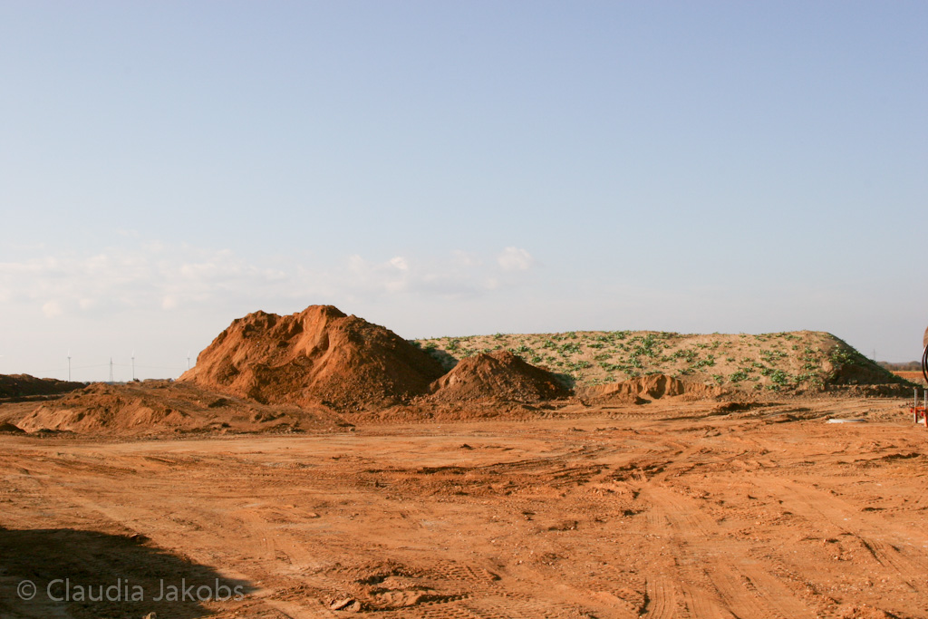 111101142004 IMG 0643