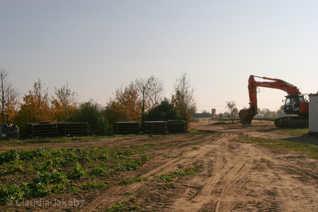 111101142525 IMG 0650