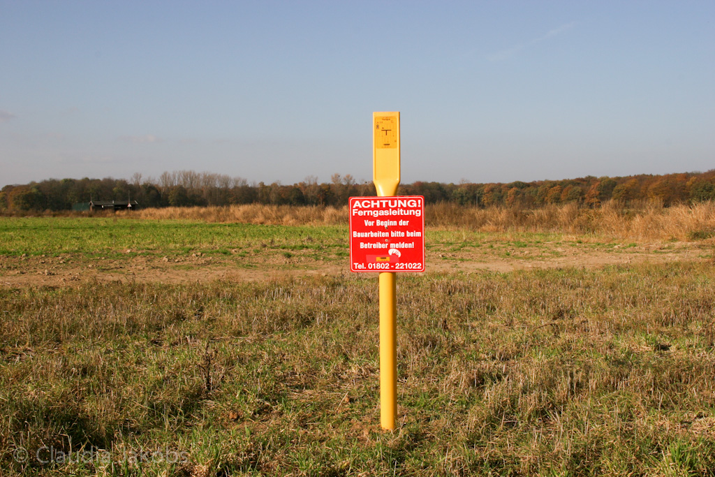 111101144011 IMG 0690