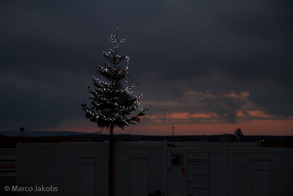 111127175431 IMG 6695