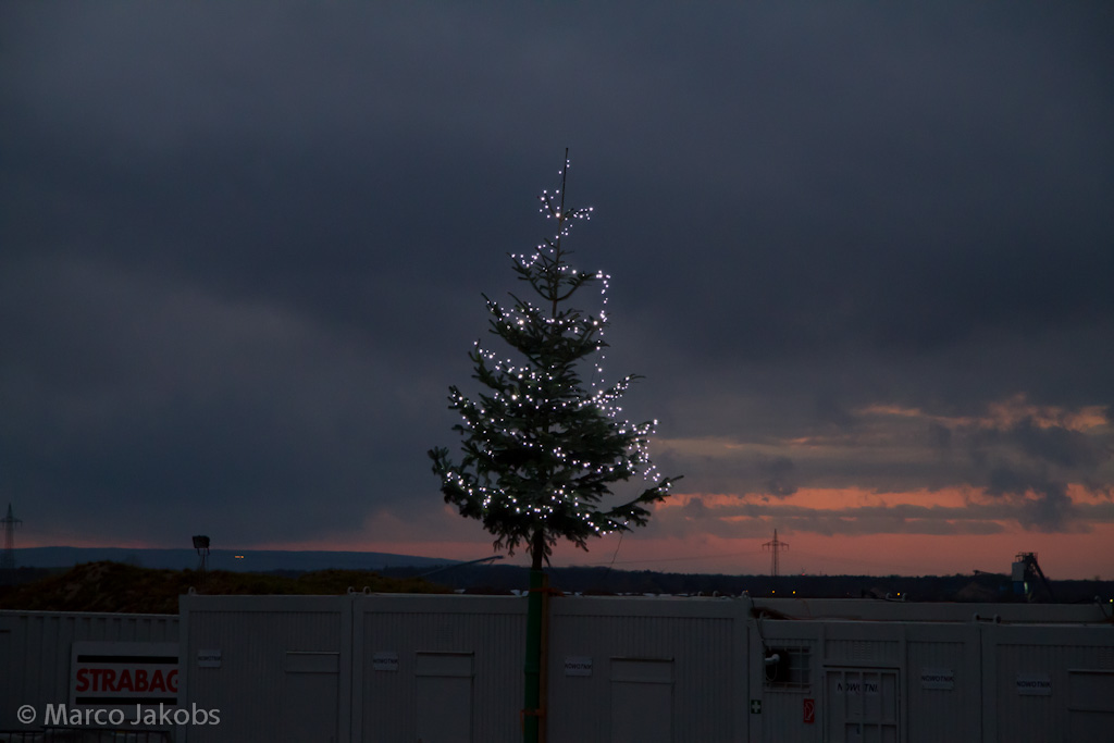 111127175508 IMG 6699