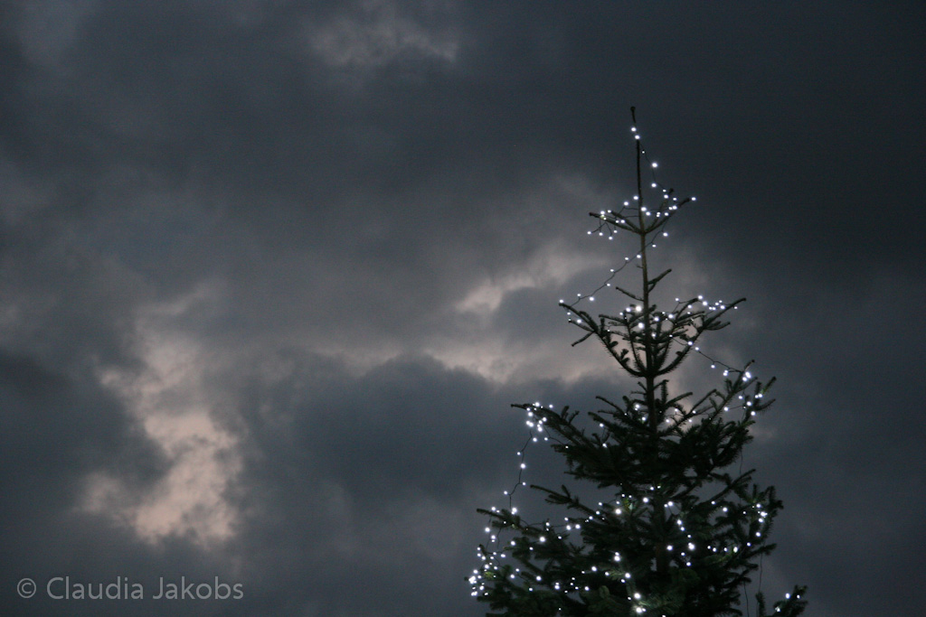 111127180348 IMG 0731