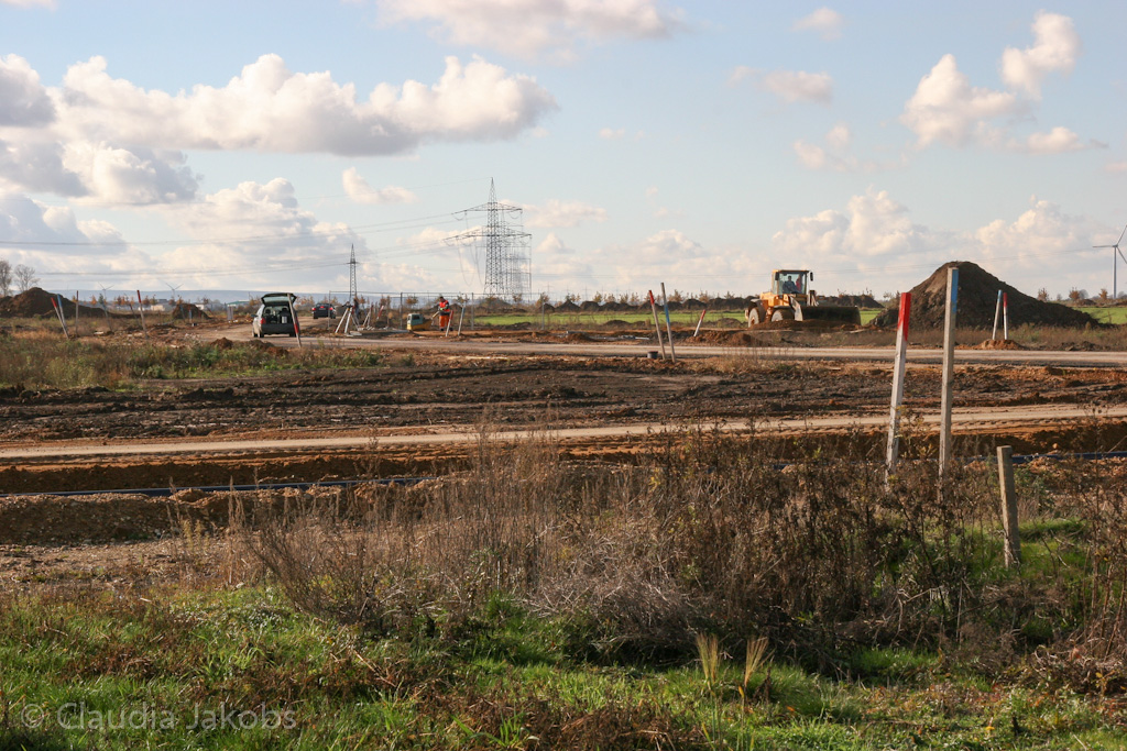 121111134958 IMG 4034