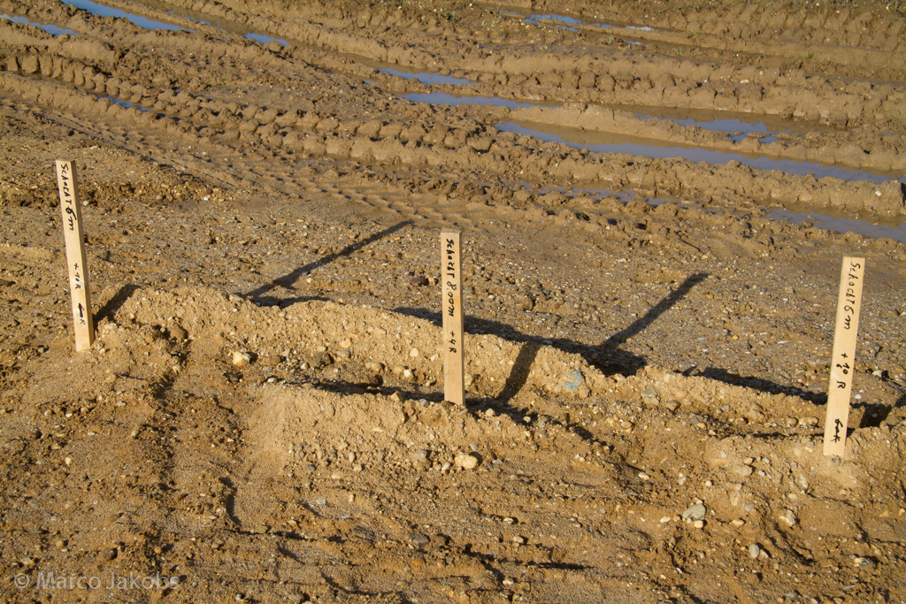 121111135526 MJ  9925