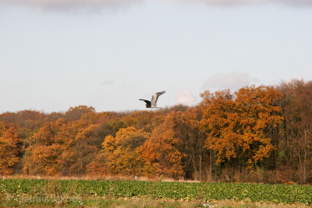 121111140234 IMG 4050