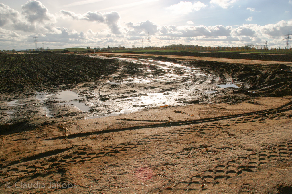 121111140738 IMG 4055